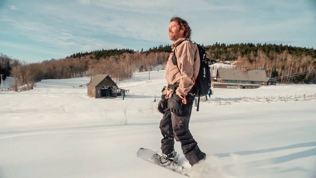 Purple Mountains: Live Free or Dieの背景画像