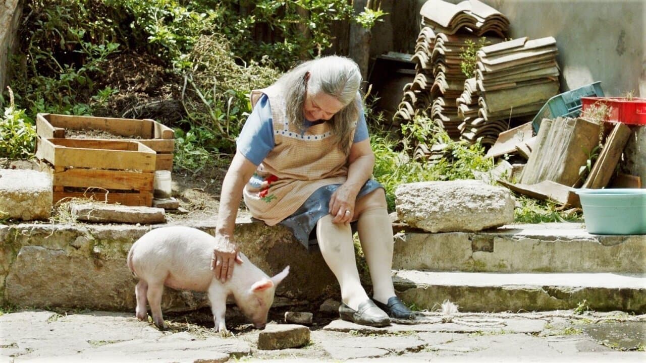 Cría puercosの背景画像