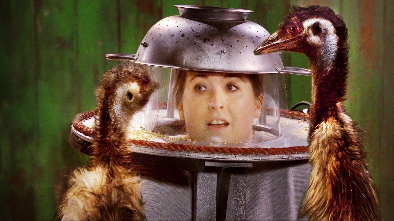 Flinchの背景画像