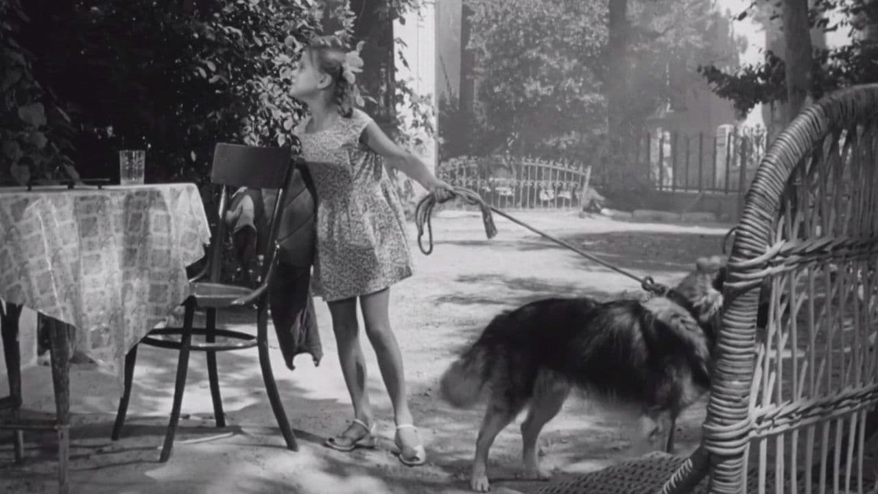 Дрессировщикиの背景画像