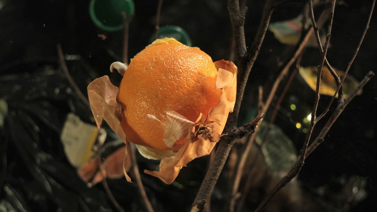 V popelniciの背景画像