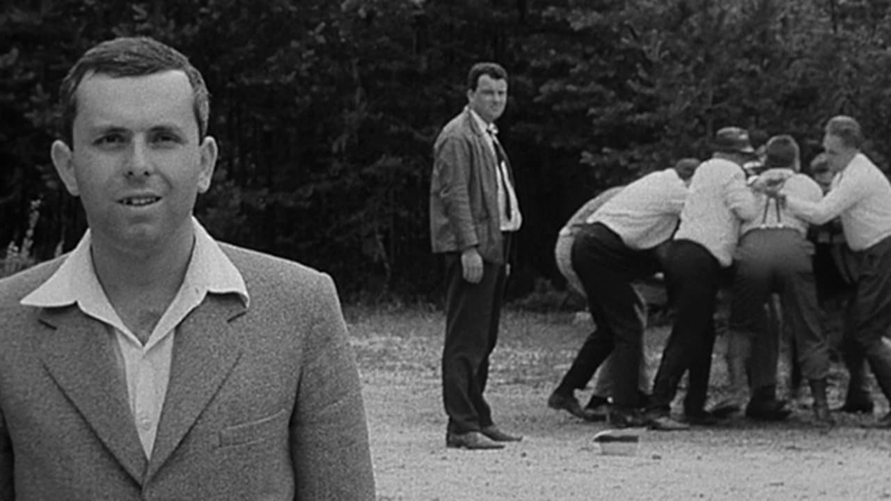 O slavnosti a hostechの背景画像