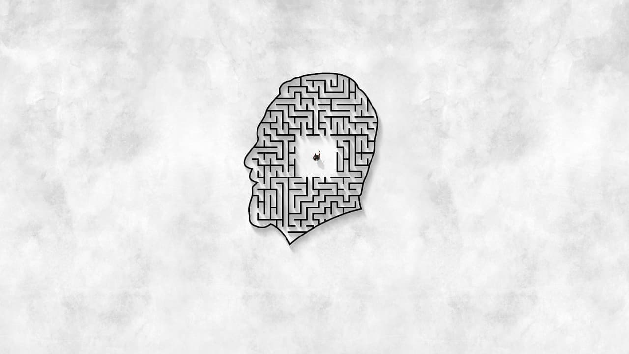 Mister Organの背景画像