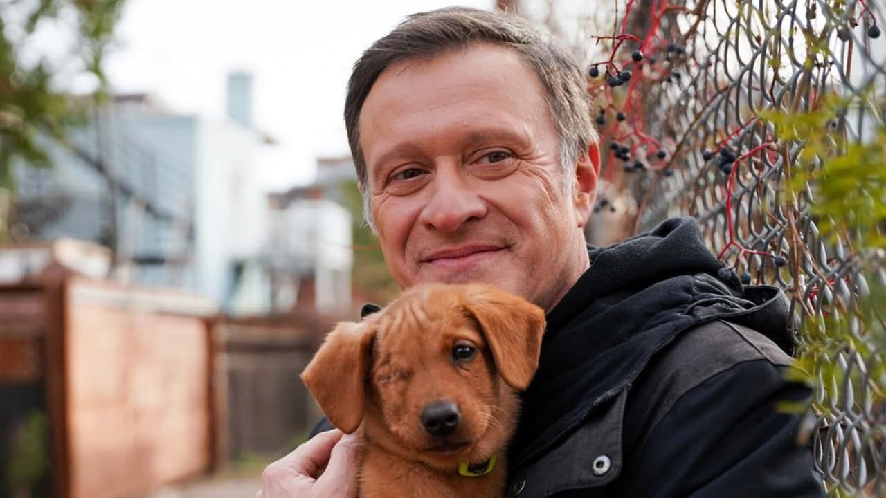 Refuge animal : Mission Aristopattesの背景画像