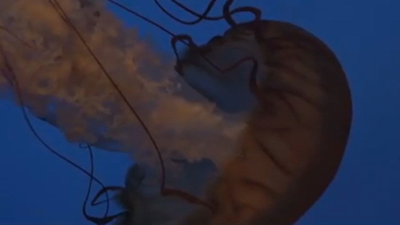 Whitechapel: The Brotherhood of the Bladeの背景画像