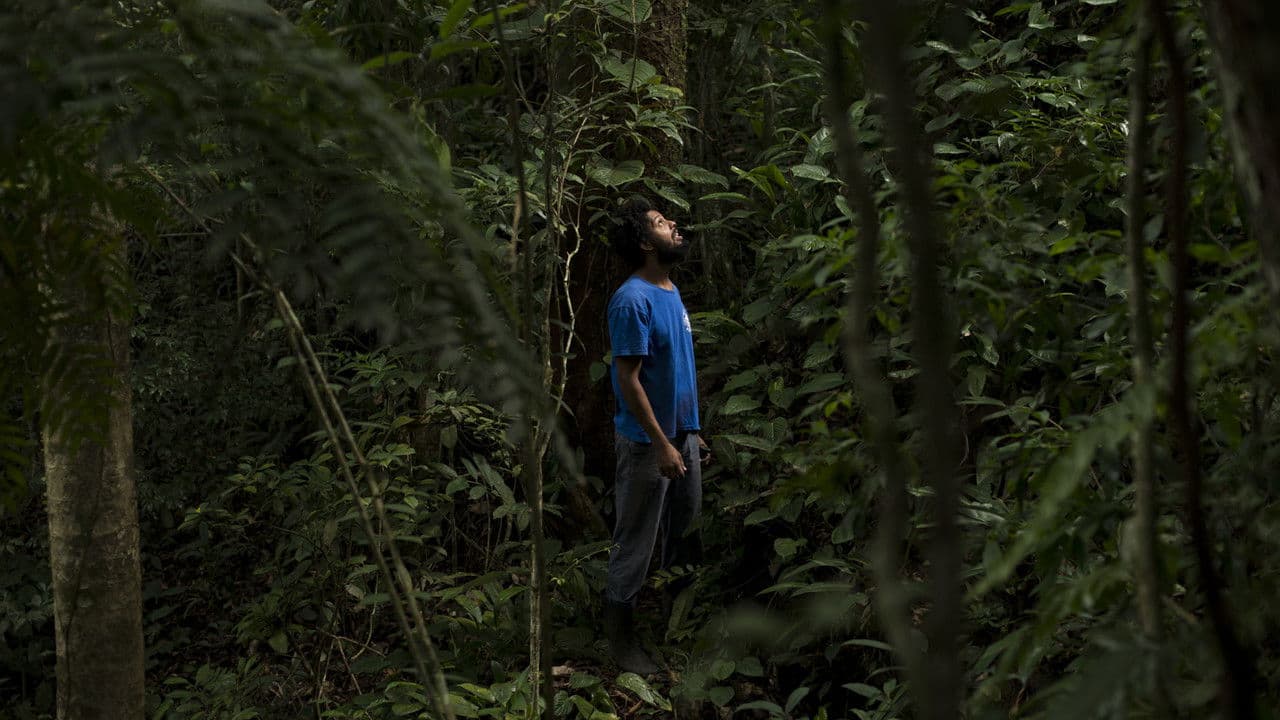 Dos Antigos aos Filhos do Amanhãの背景画像