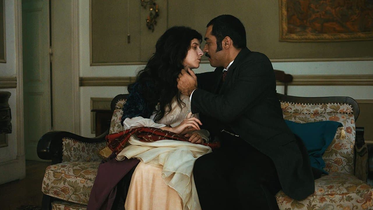 Todos os Mortosの背景画像