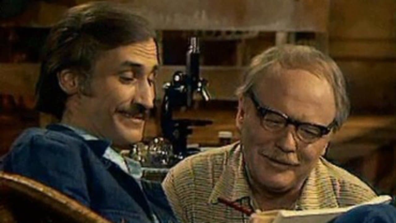 Эцитоны Бурчеллиの背景画像