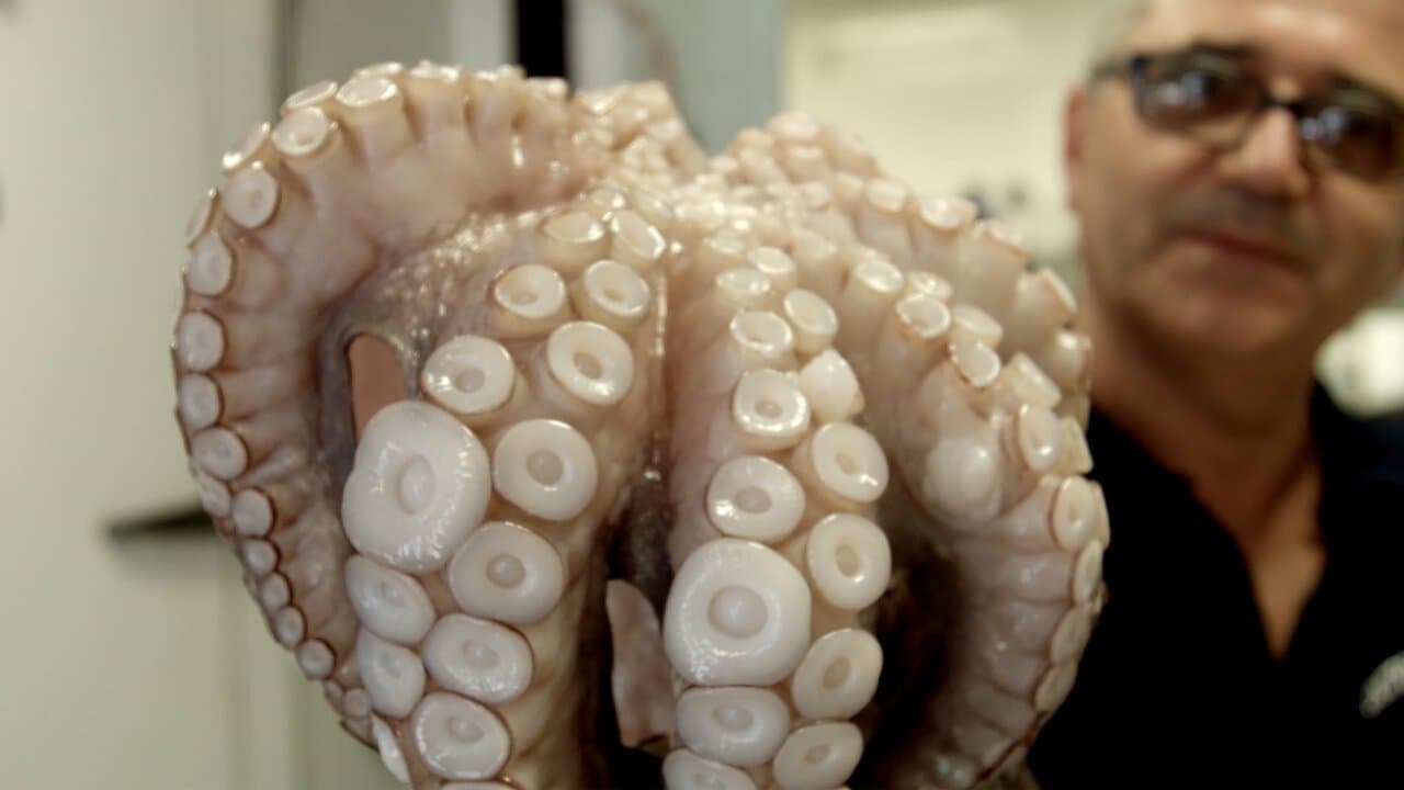 旅する料理: イタリアから世界への背景画像