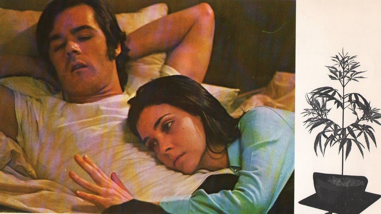 Dealing: Or the Berkeley-to-Boston Forty-Brick Lost-Bag Bluesの背景画像