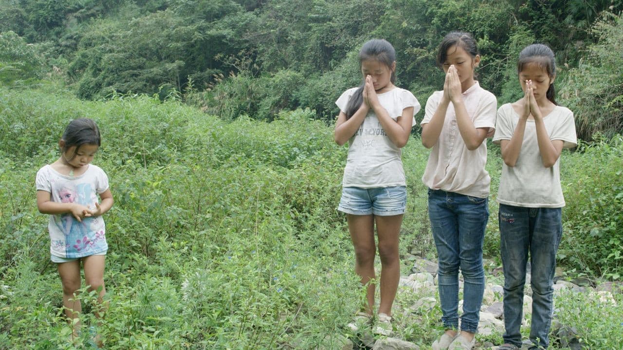 池塘の背景画像