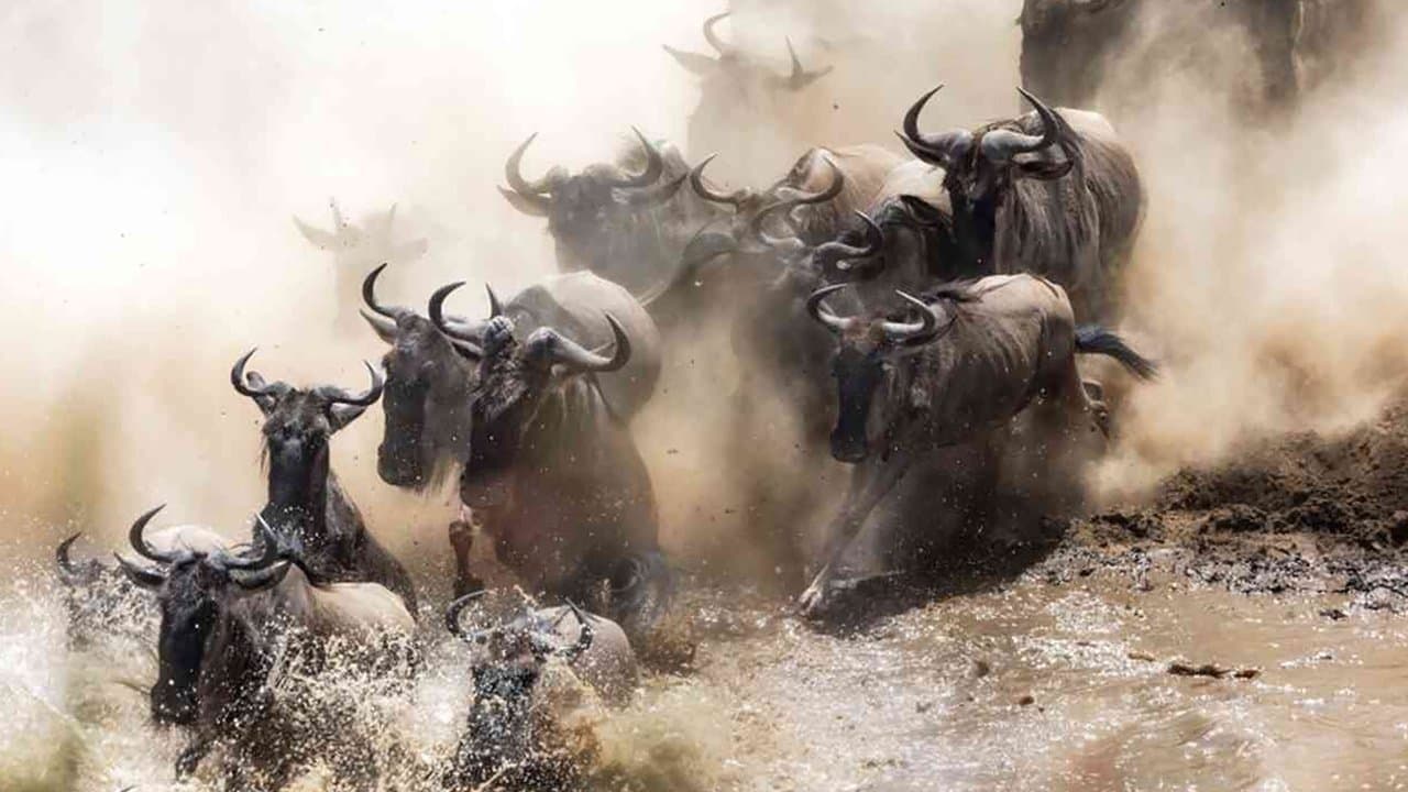 Trials of the Wildの背景画像