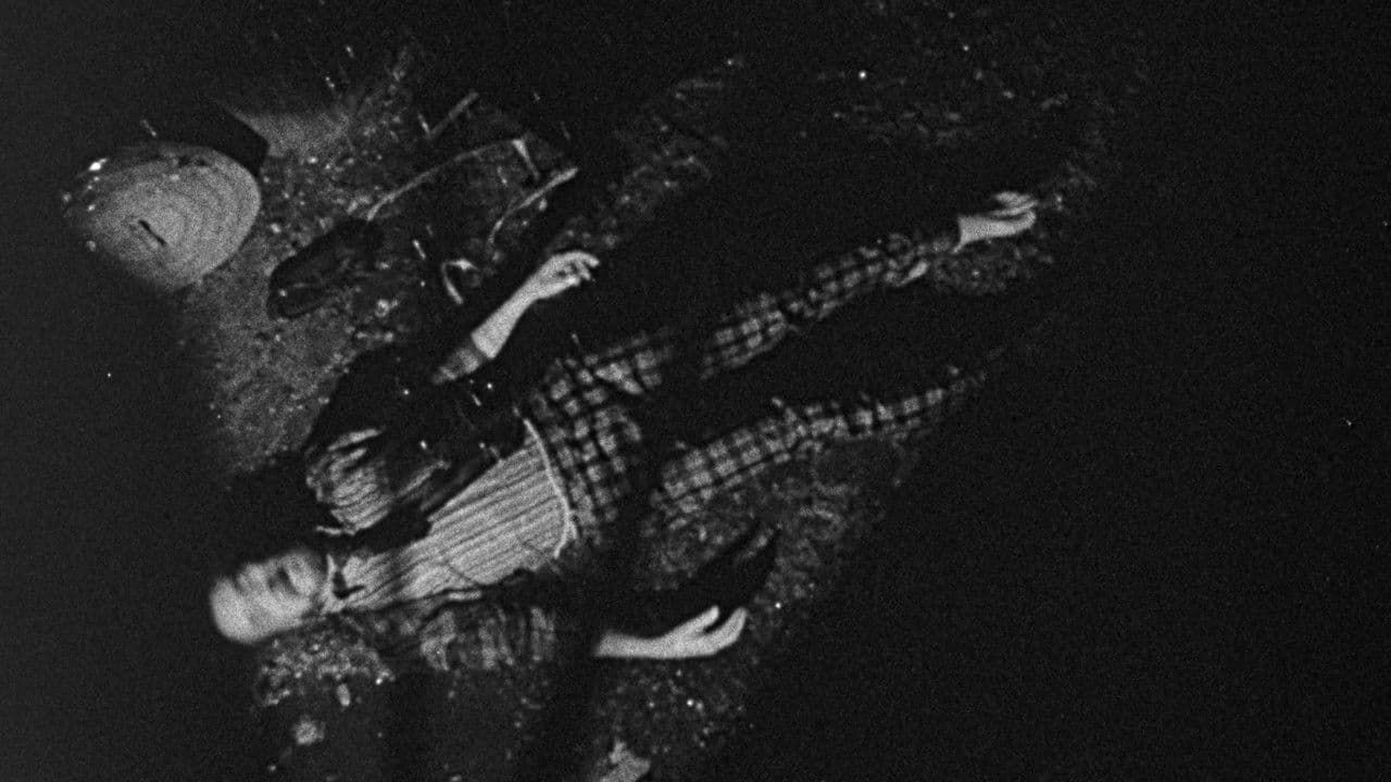 Bugs Without Moralsの背景画像