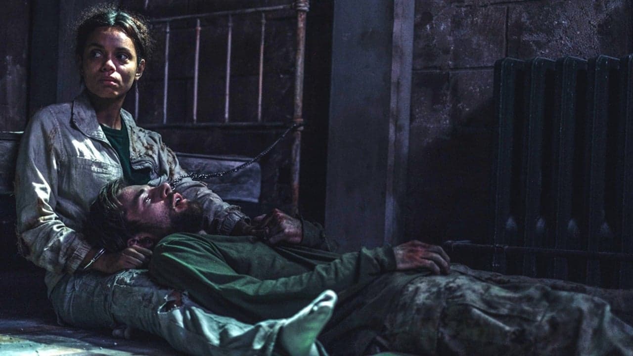 Wildcatの背景画像