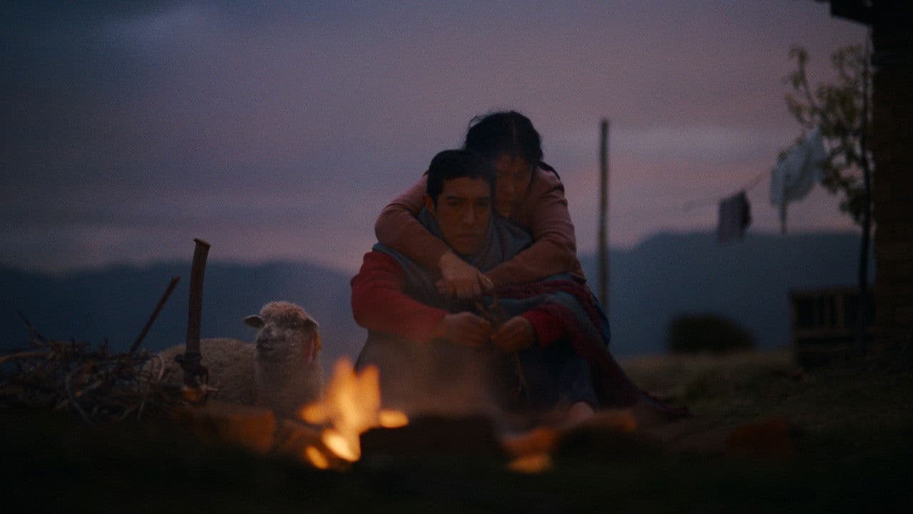 Ovejas y lobosの背景画像