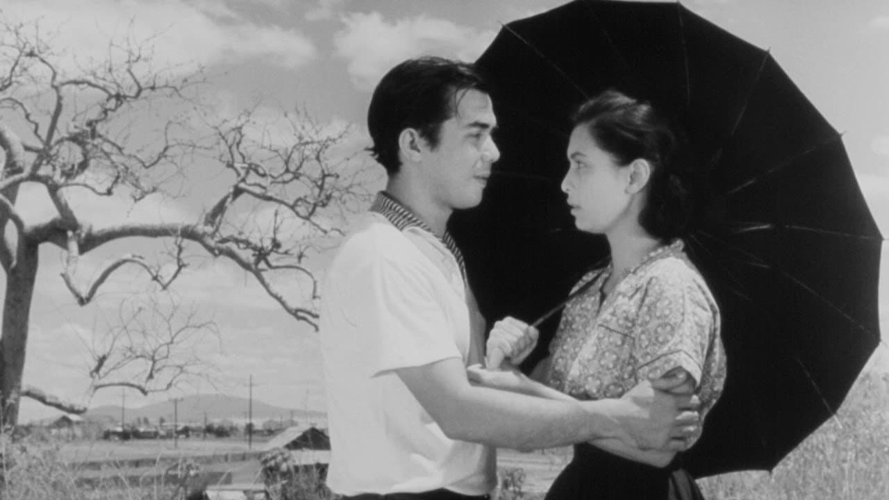 Malvarosaの背景画像