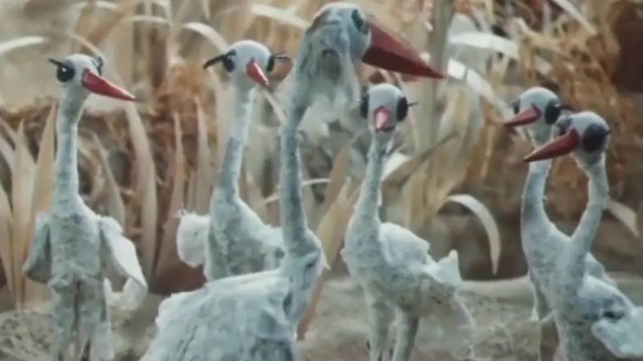 Когда прилетают аистыの背景画像