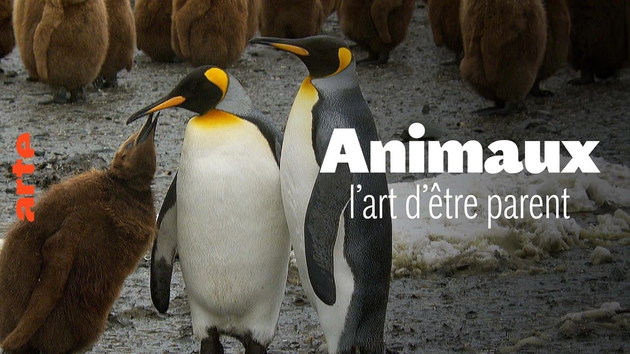 Wilde Elternの背景画像