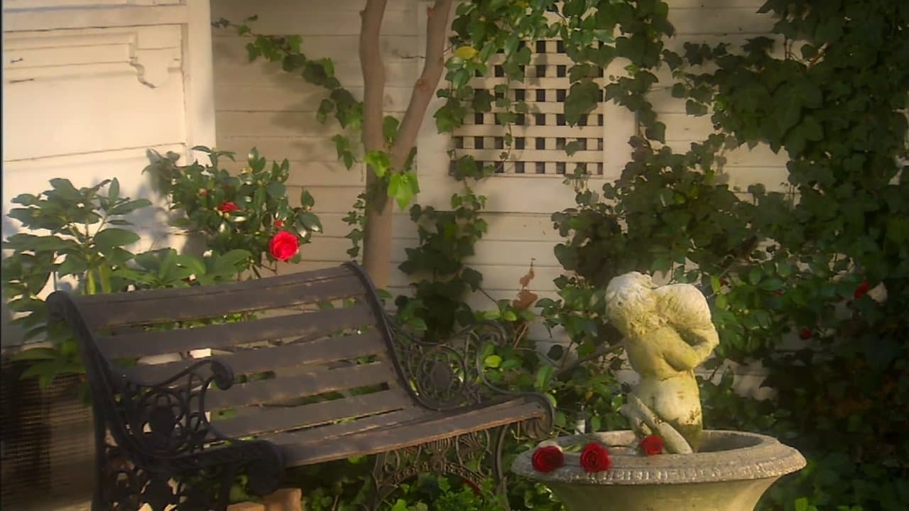 The Last Roseの背景画像