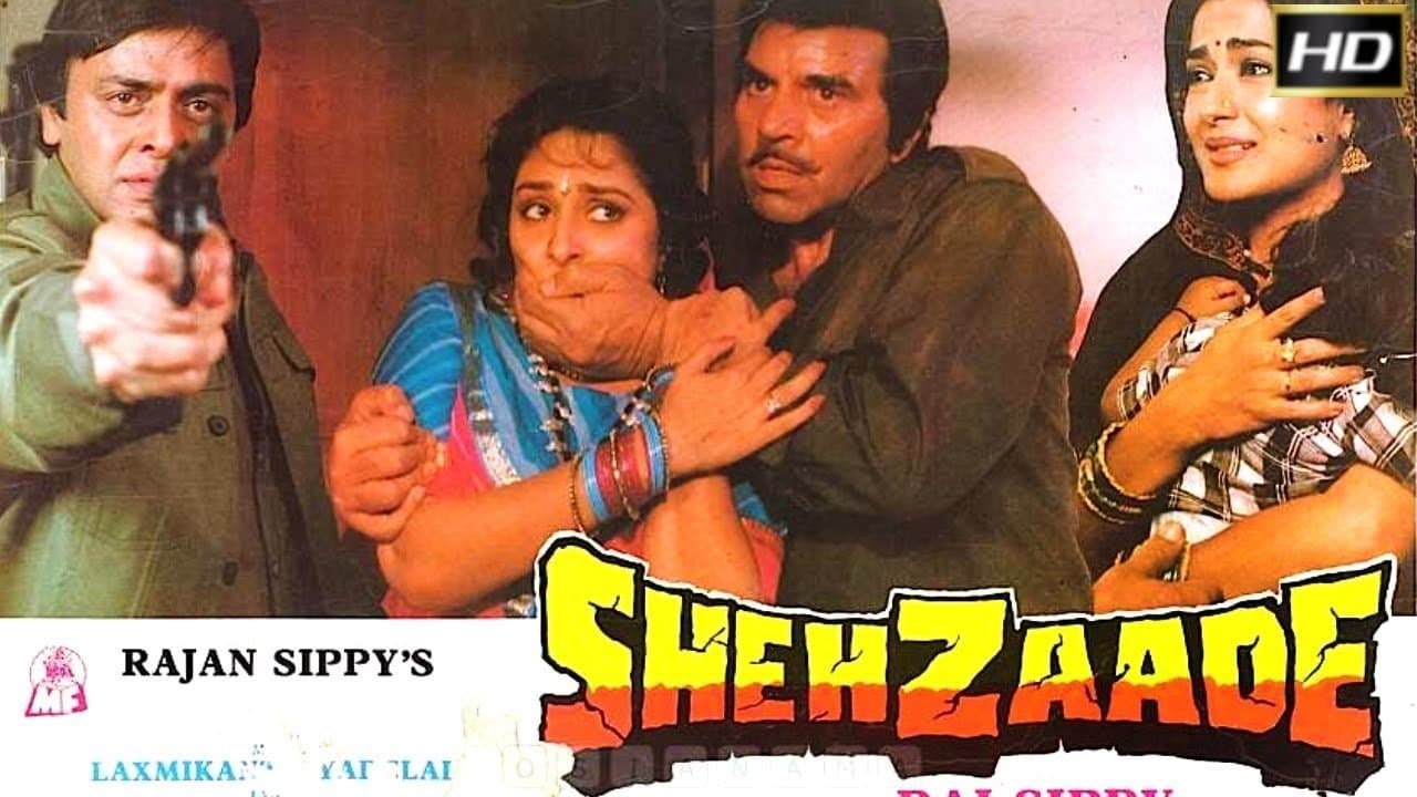 Shehzaadeの背景画像