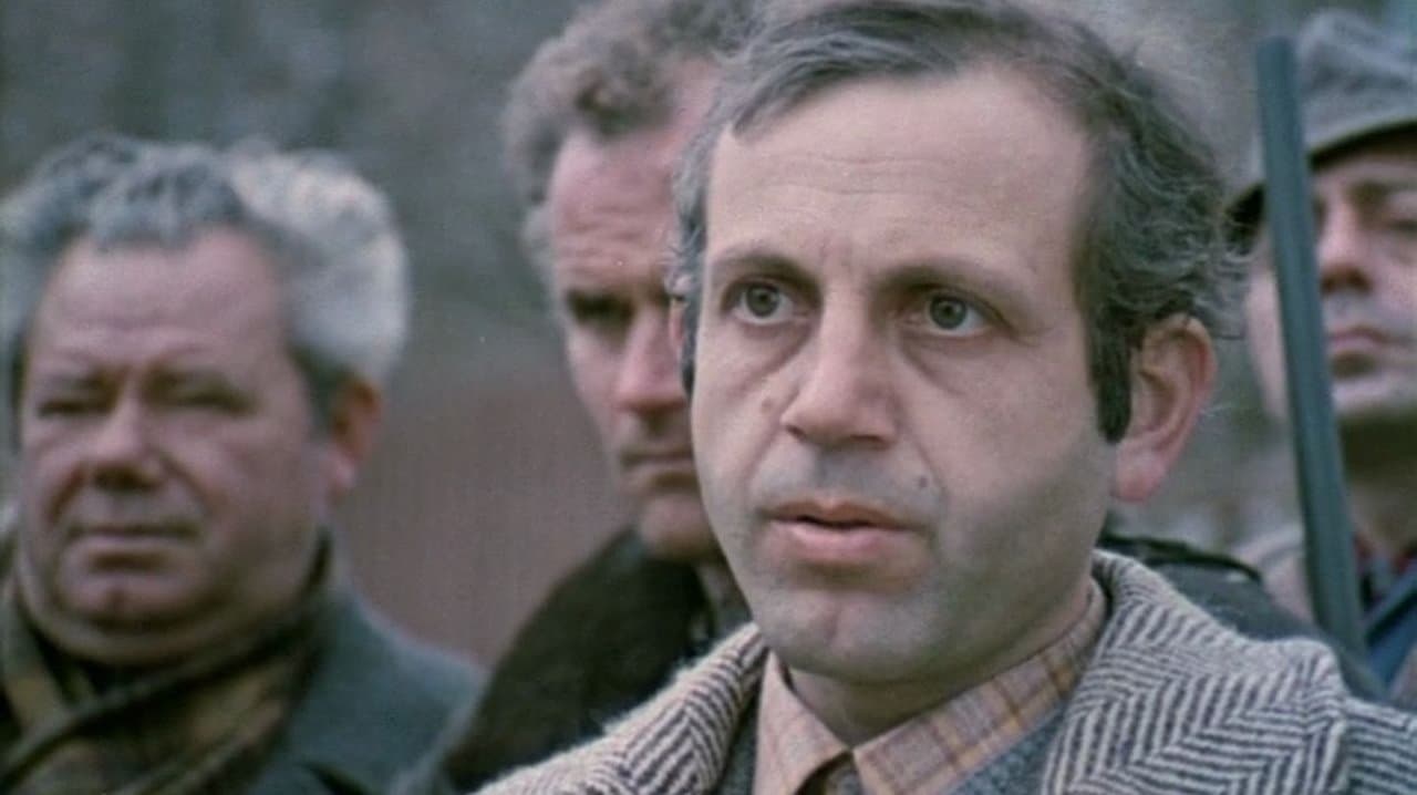 Преброяване на дивите зайциの背景画像