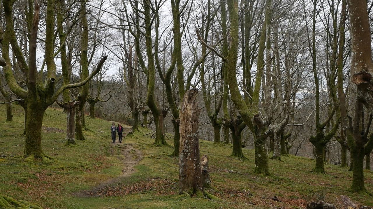 Ezkutuanの背景画像