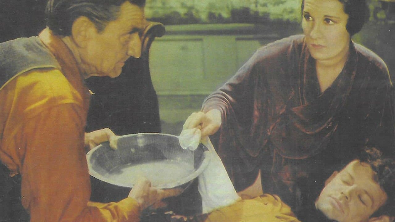 The Tonto Kidの背景画像
