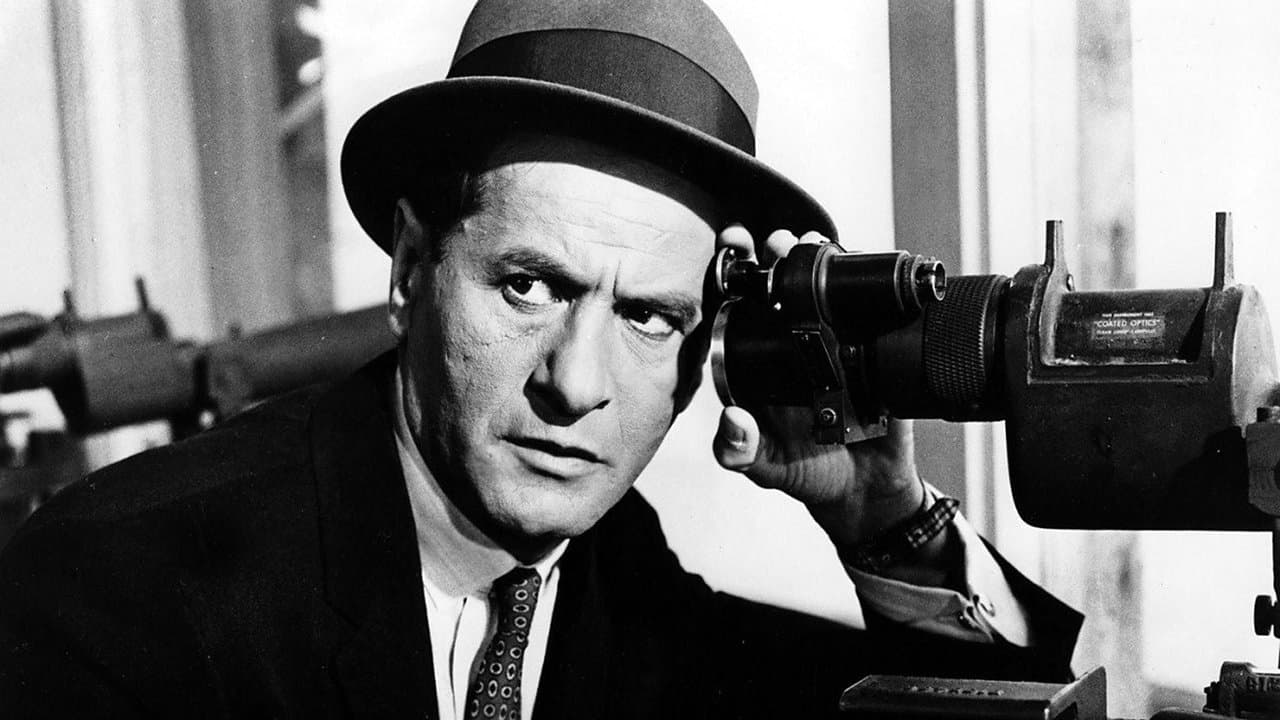 The Lineupの背景画像