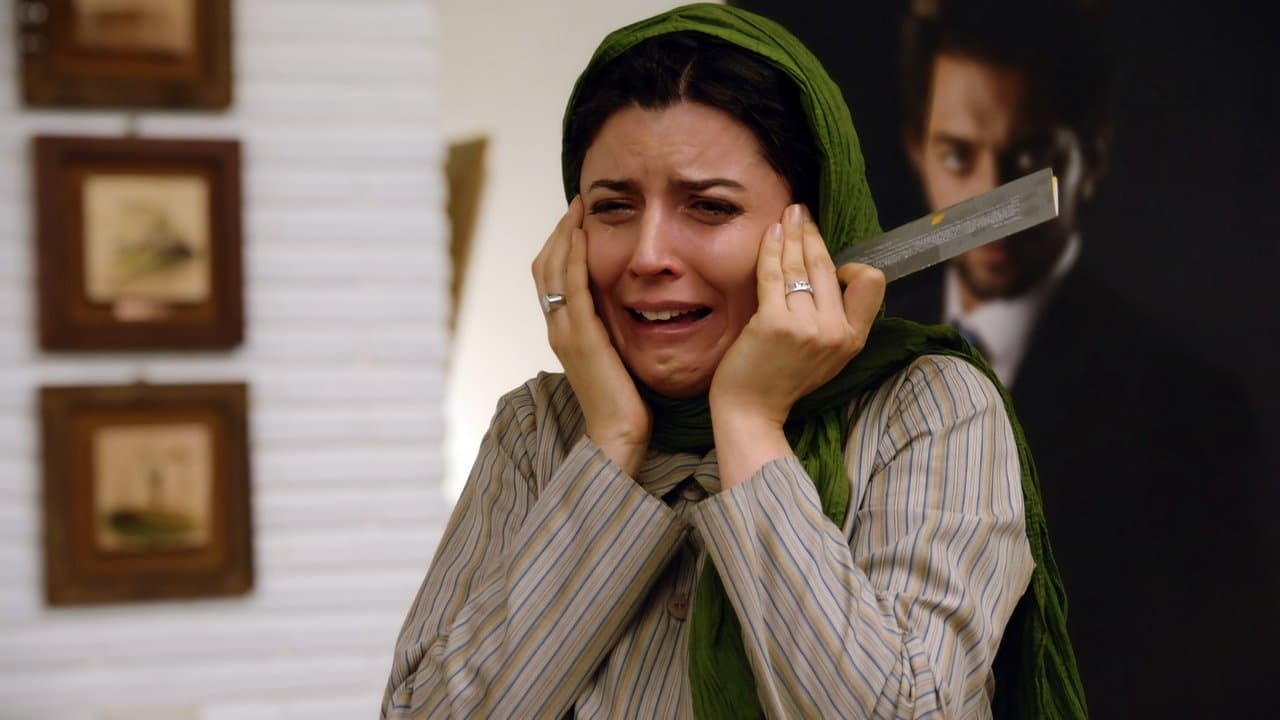 بی پولیの背景画像