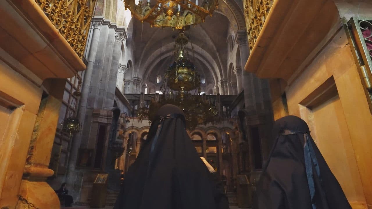 大宝荐系列の背景画像