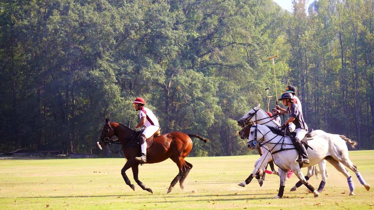 From Rodeo to Polo: The 1st HBCU Polo Teamの背景画像
