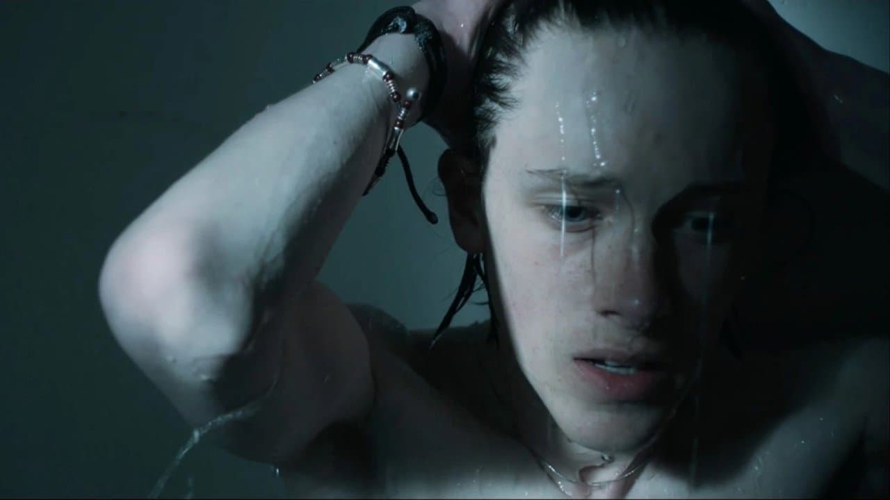 The Sparrowの背景画像