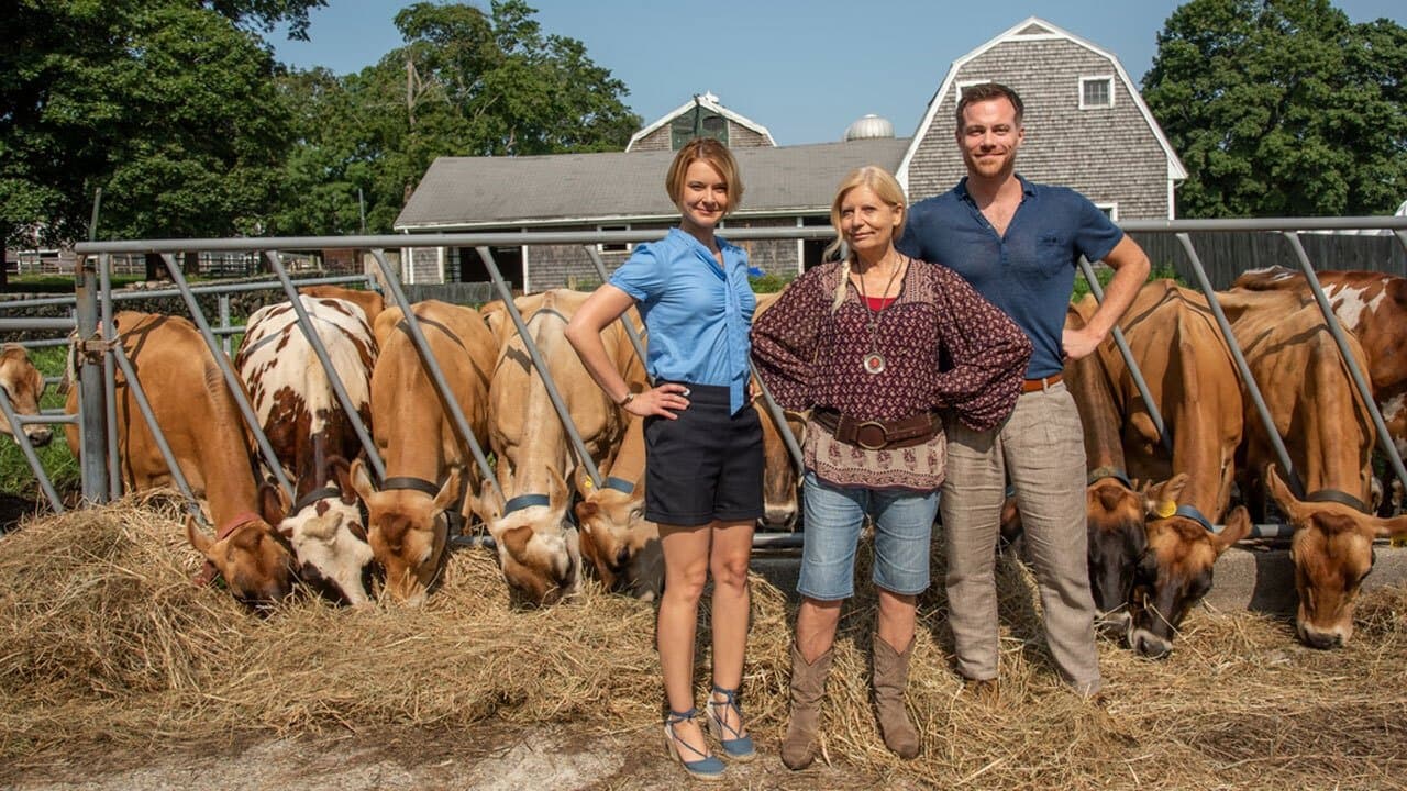 Katie Fforde: Wachgeküsstの背景画像