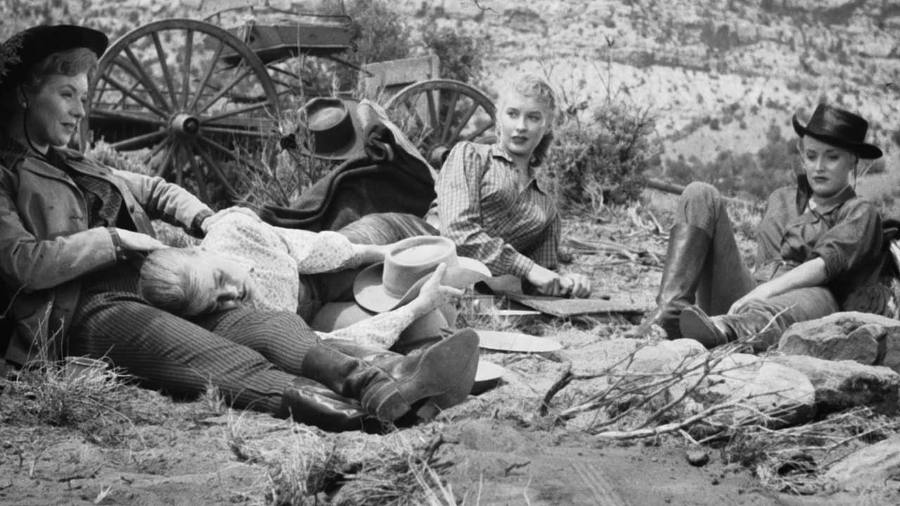 The Dalton Girlsの背景画像