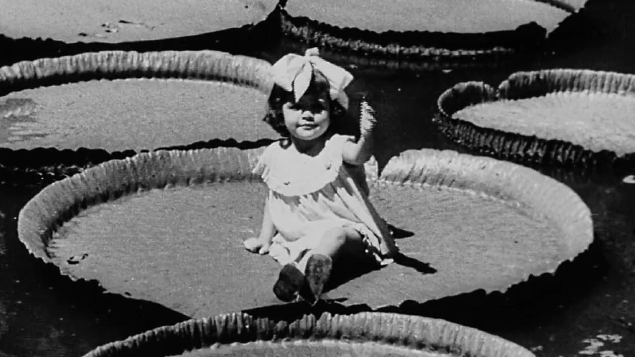 Victória Régiaの背景画像