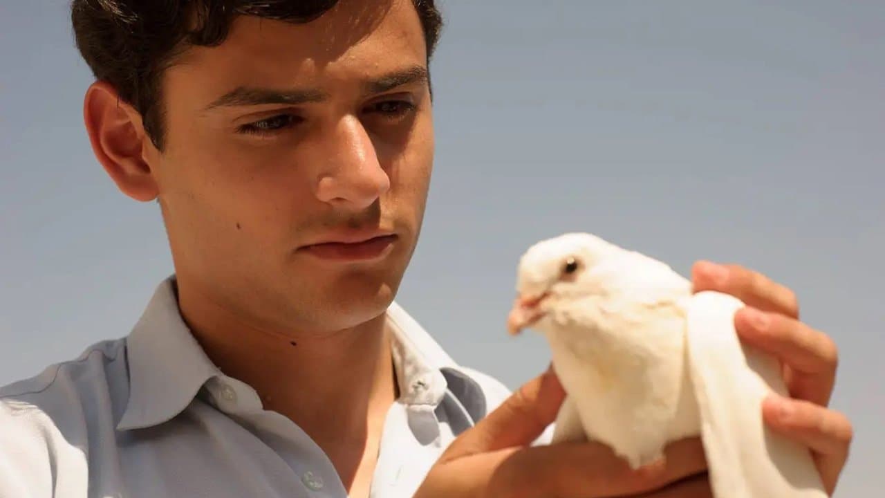 Farewell Baghdadの背景画像