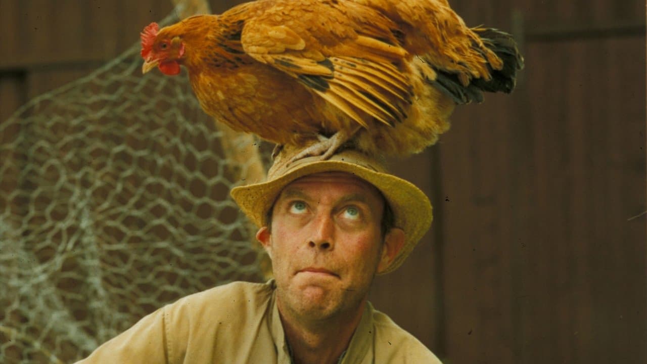 Vildbassenの背景画像