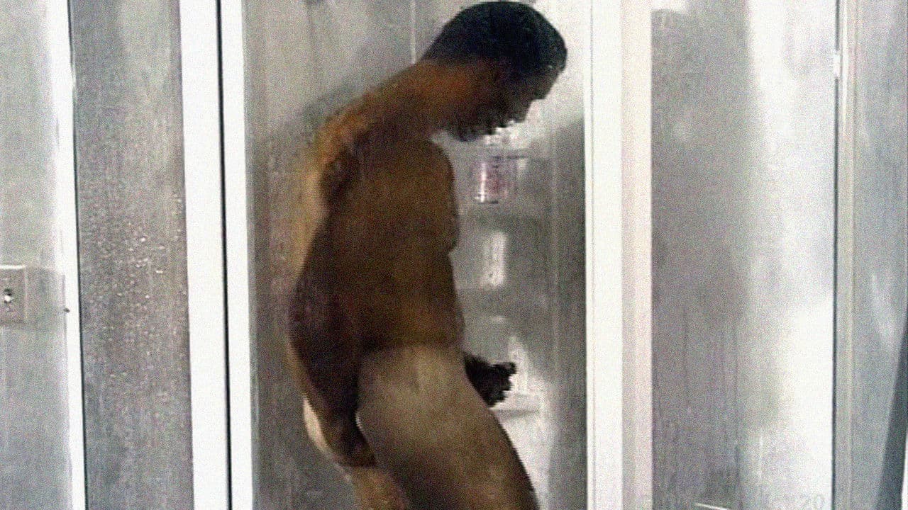 White Wallsの背景画像