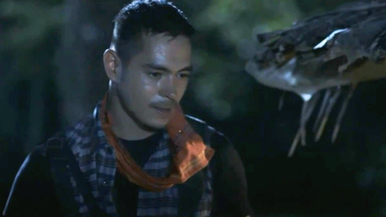 Lihisの背景画像