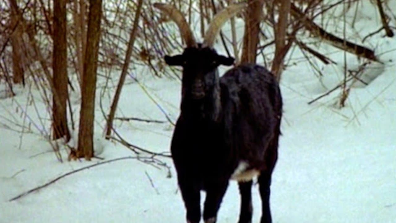 Horrorの背景画像