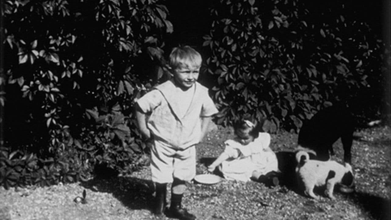 Scènes d'enfantsの背景画像