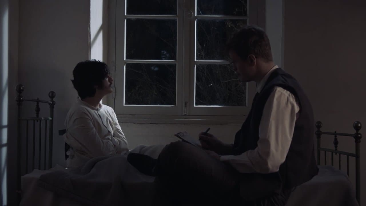 Hospício Jardim Auroraの背景画像