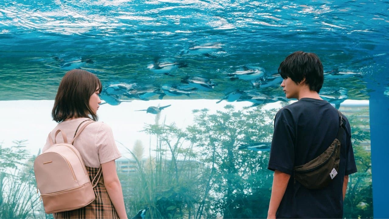 彼女が好きなものはの背景画像