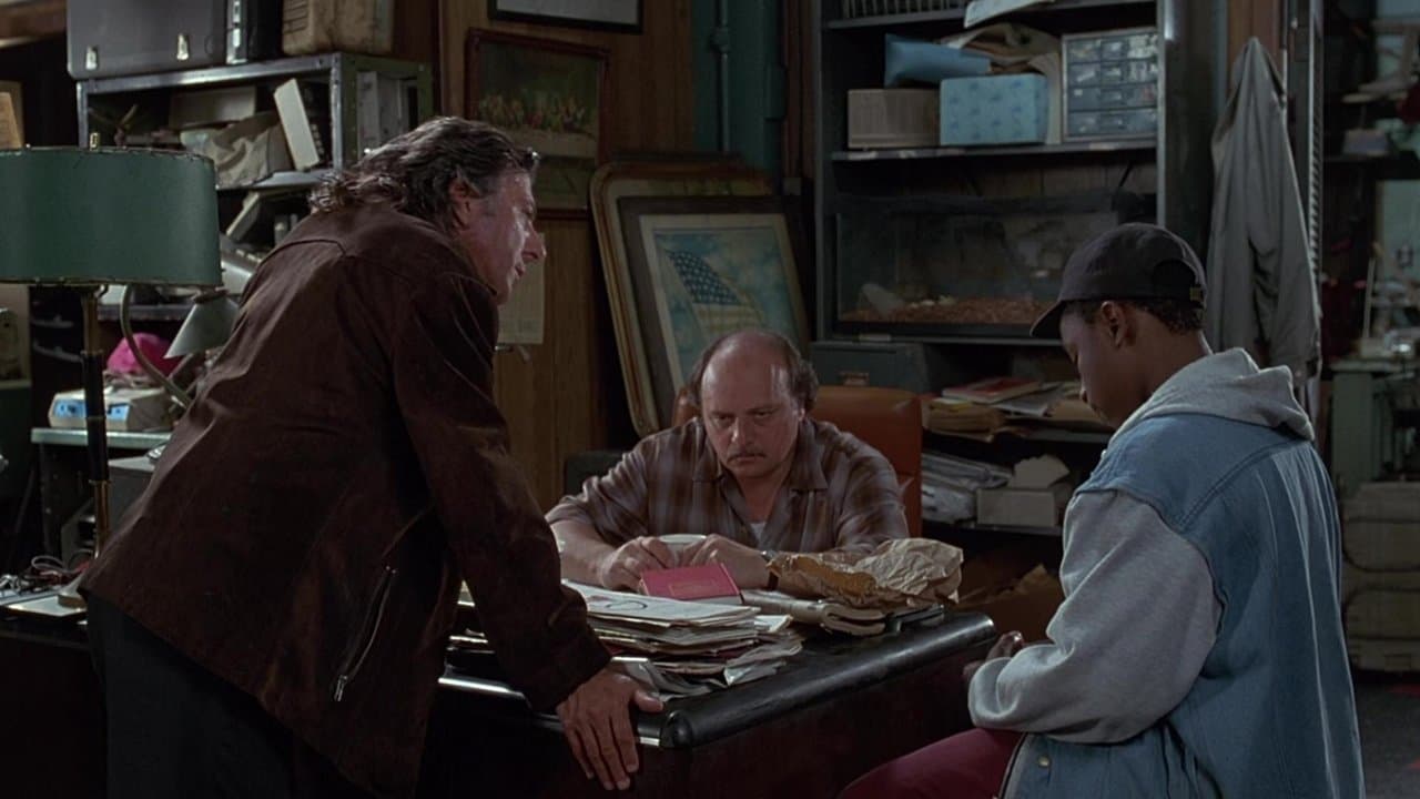 American Buffaloの背景画像