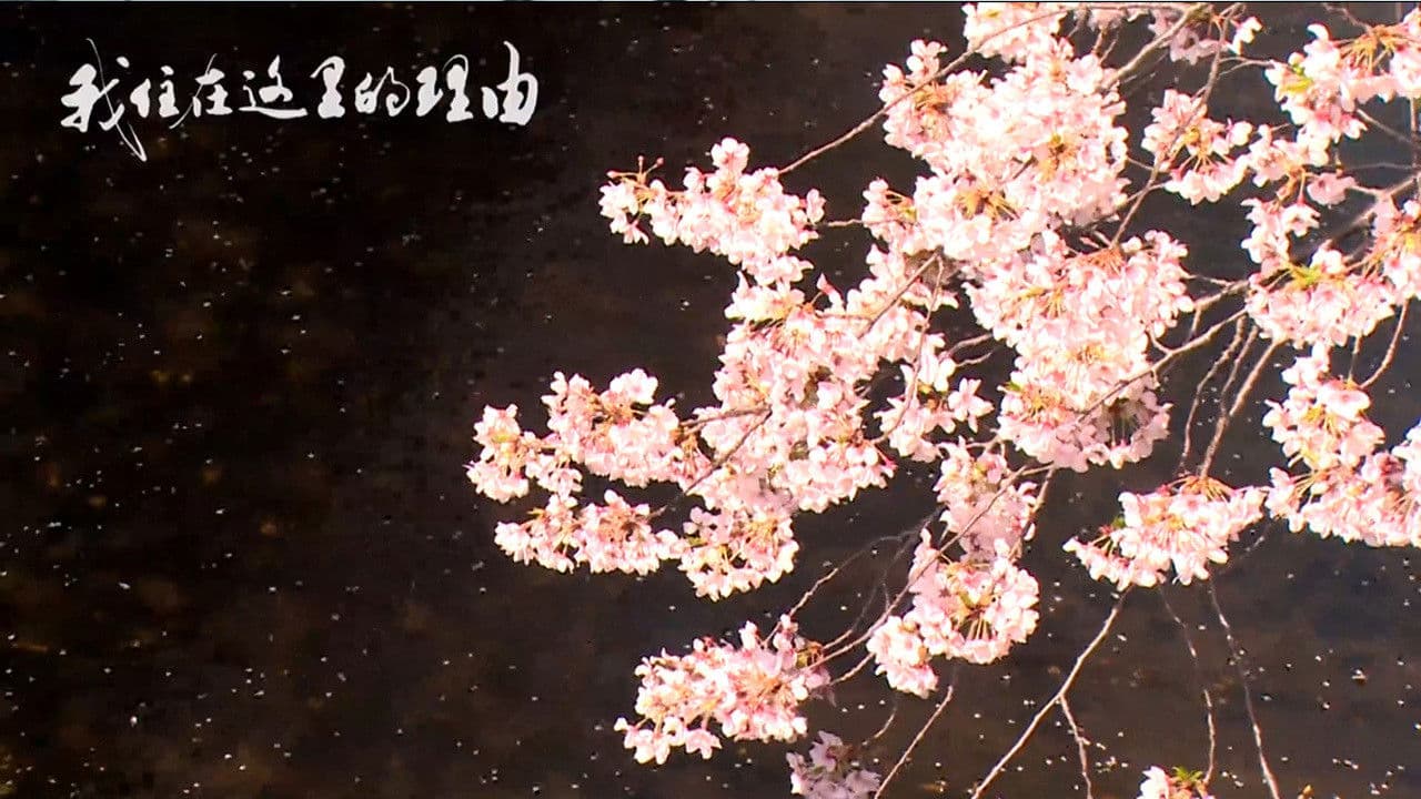 私はここに住む理由の背景画像