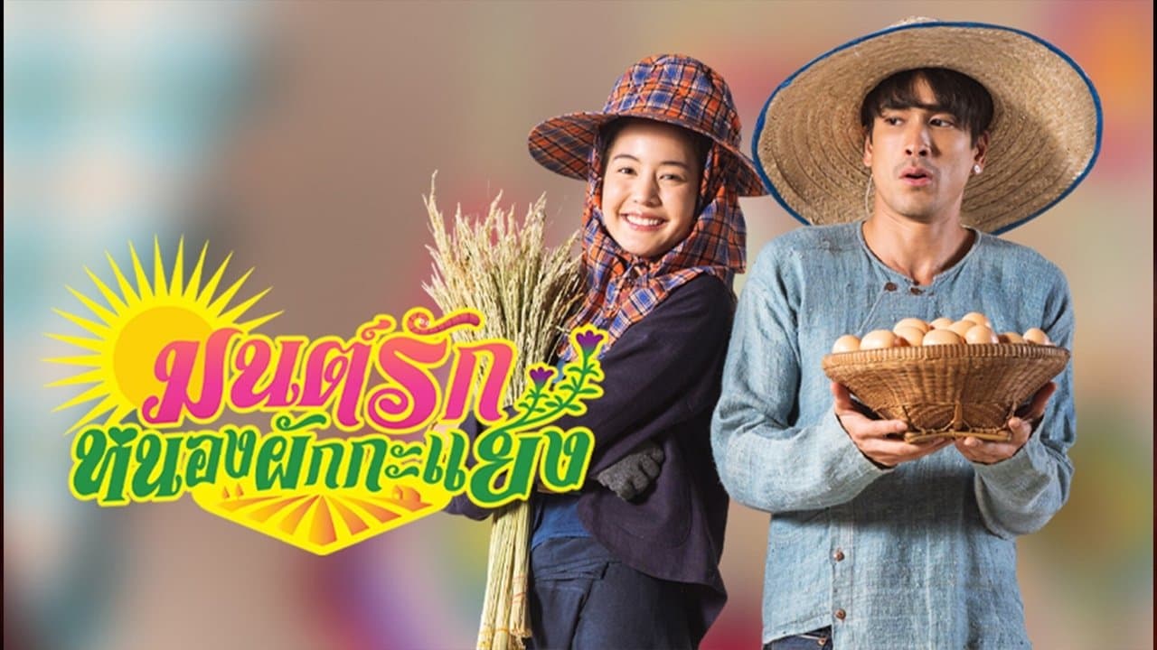 มนต์รักหนองผักกะแยงの背景画像