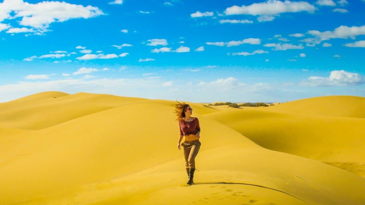 Wax - We Are The Xの背景画像