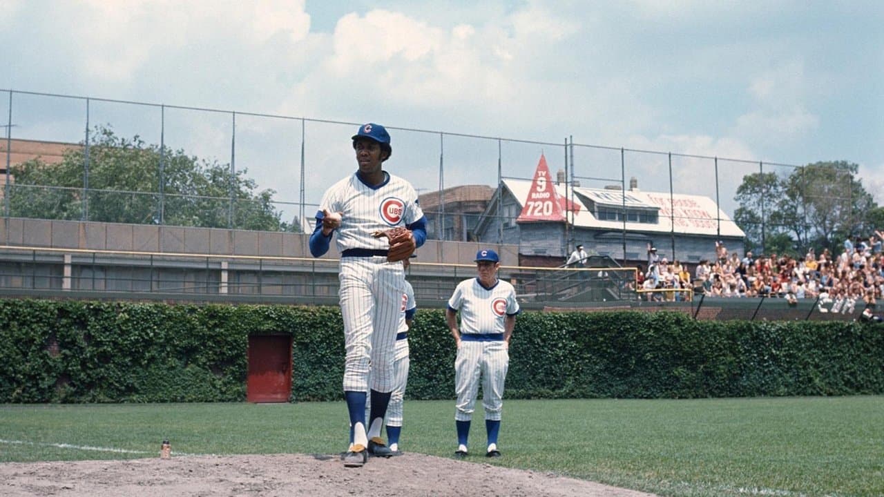 King of the Hillの背景画像