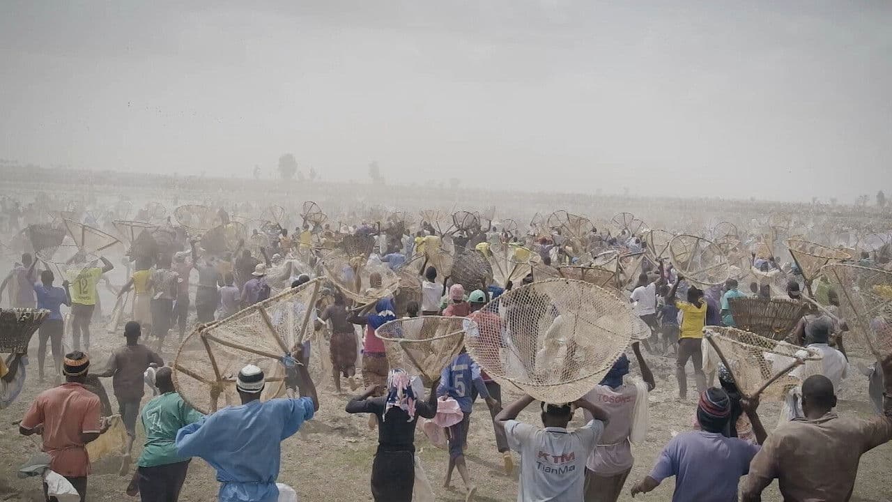 I bɔyɔrɔ, d’où viens-tu ? の背景画像