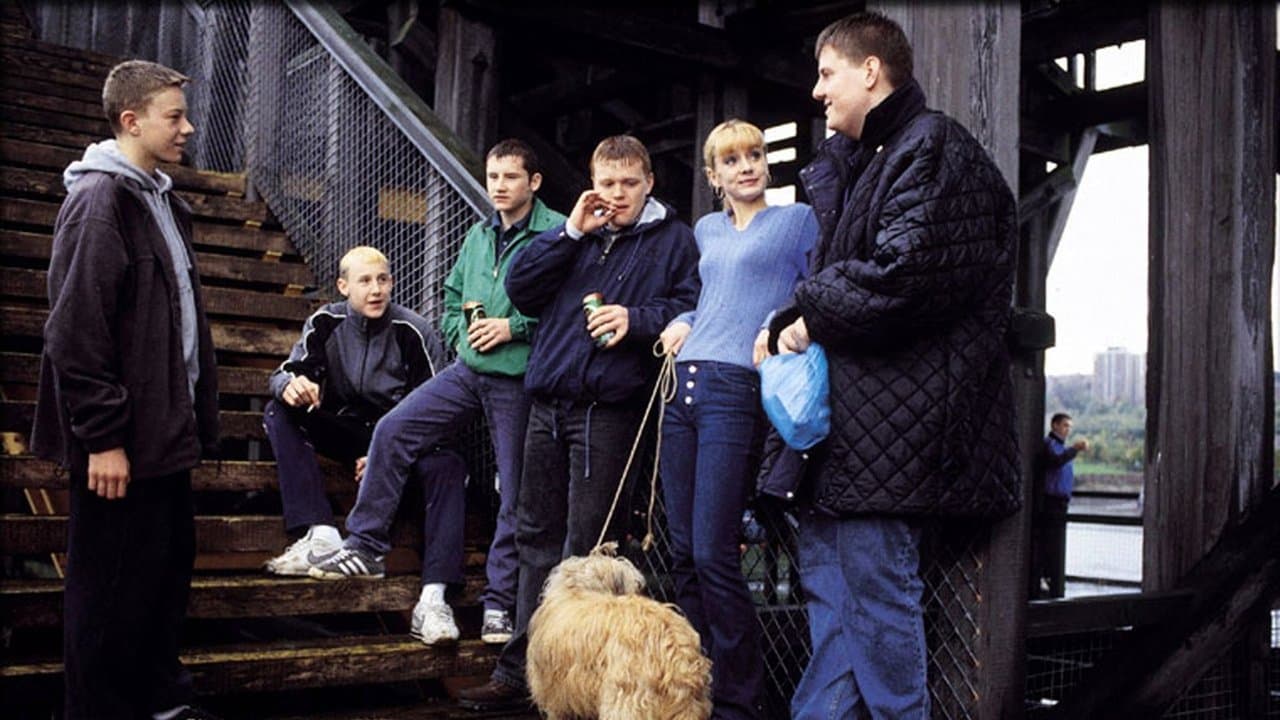 Purely Belterの背景画像